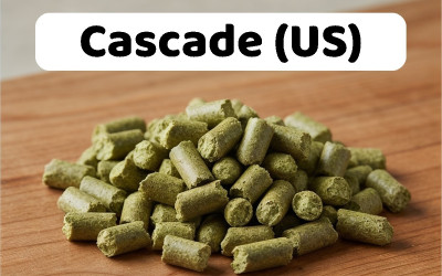 Houblon Cascade US