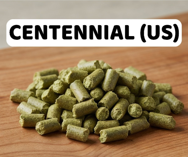 Houblon Centennial en pellets pour brassage artisanal