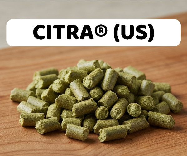 Houblon Citra en pellets pour brassage artisanal