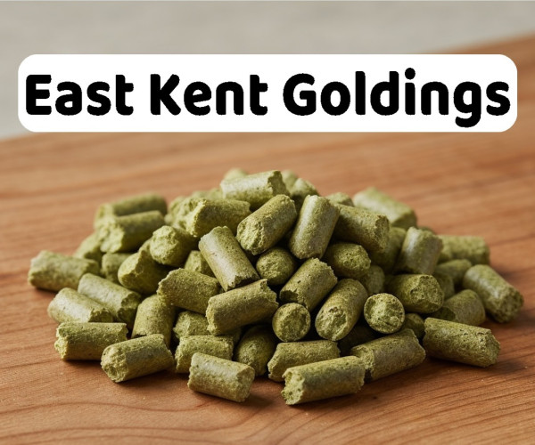 Houblon East Kent Goldings en pellets pour brassage artisanal