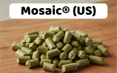 Houblon Mosaic en pellets 100g