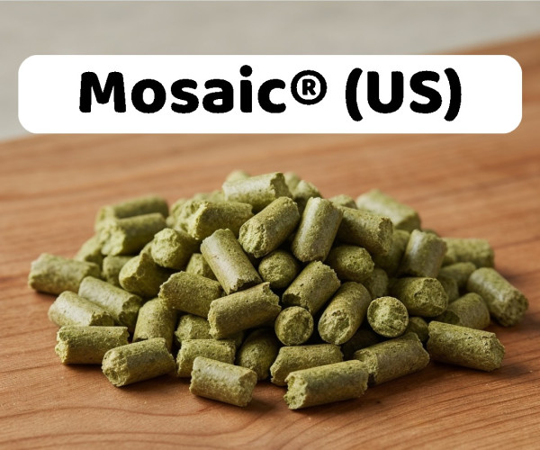 Houblon Mosaic pellets 100g arômes tropicaux mangue pin pour IPA