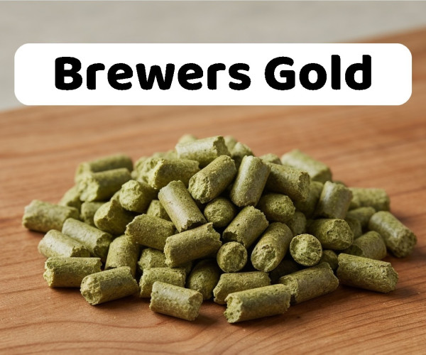 Houblon Brewers Gold en pellets pour brassage artisanal